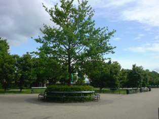 公園