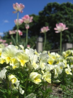 花壇