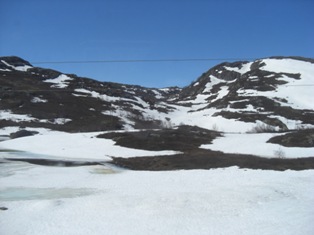 雪原
